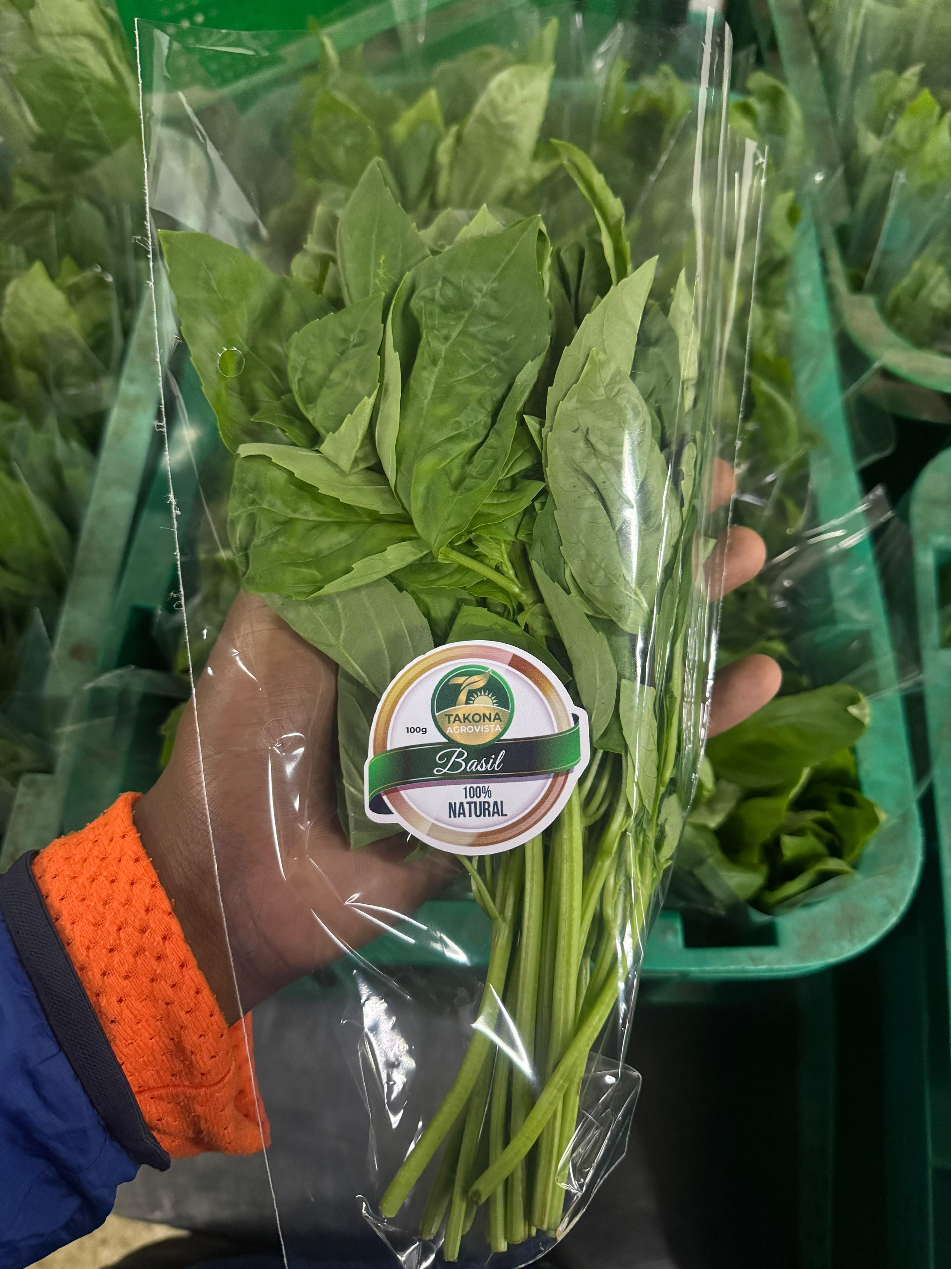 Kenyan Basil gallery